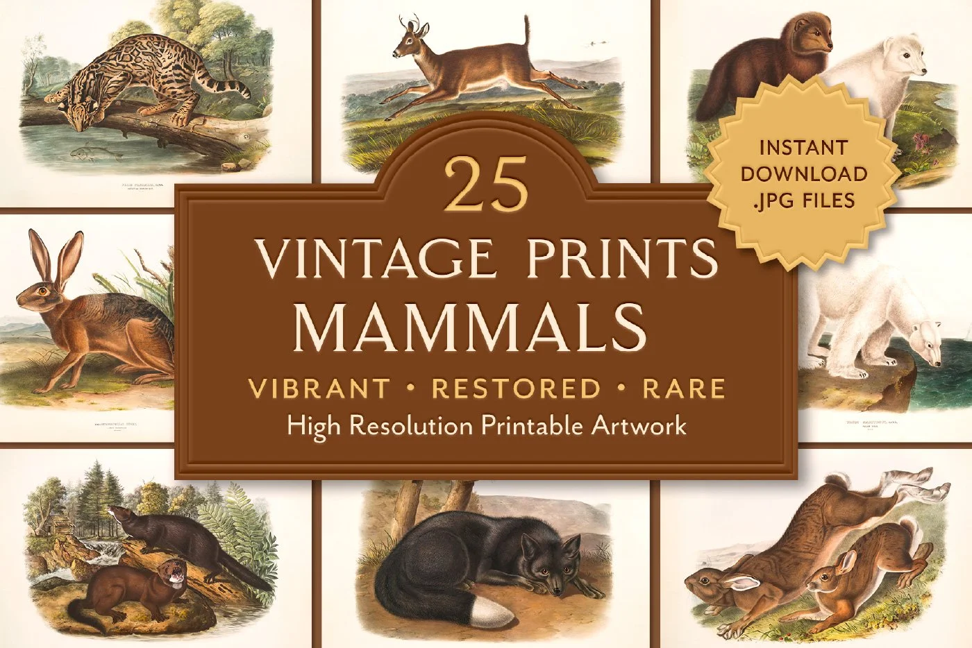 25 Vintage Mammal Prints — The Object Atlas